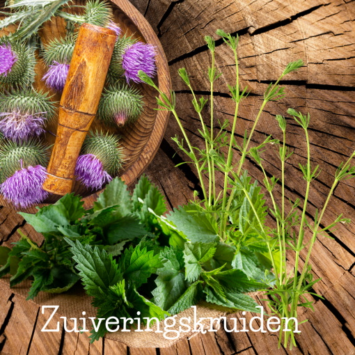 detoxAVL78ZyXV8sJg4ay Naturothekede