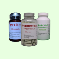 kombinationsprotokoll-smaller-bg-green-d951JEoy8EcPQXNV kombinationsprotokoll-smaller-bg-green-d951JEoy8EcPQXNV